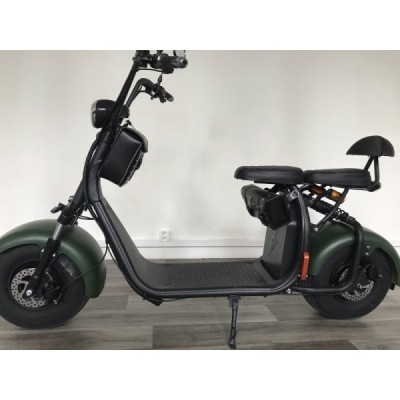 Elektrokoloběžka Lera Scooters C1 1000W zelená