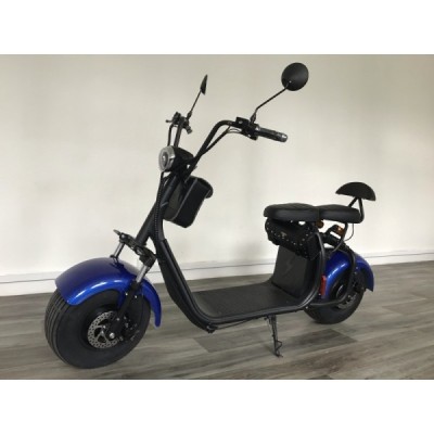 Elektrokoloběžka Lera Scooters C1 1000W modrá