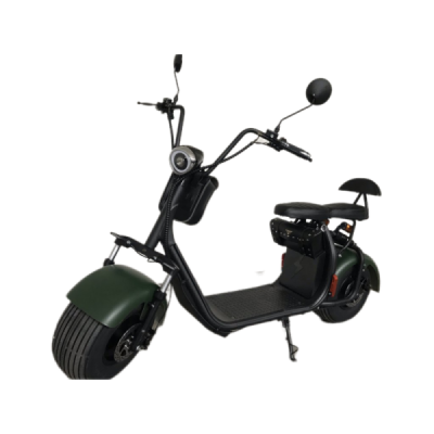Elektrokoloběžka Lera Scooters C1 1000W zelená