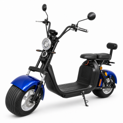 Elektrokoloběžka Lera Scooters C2 1500W modrá