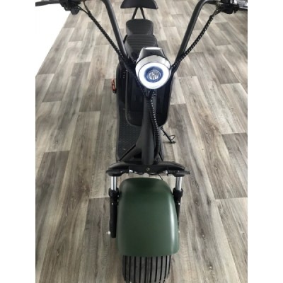 Elektrokoloběžka Lera Scooters C1 1000W zelená