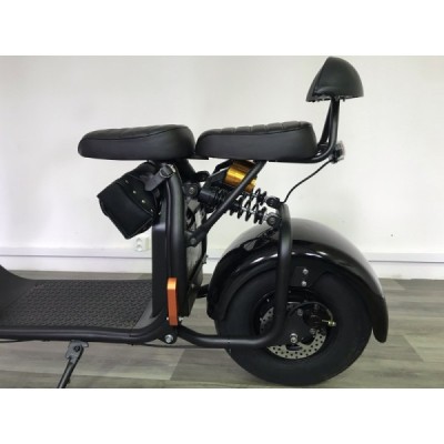 Elektrokoloběžka Lera Scooters C1 1000W černá