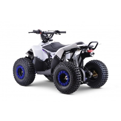 Dětská čtyřkolka Leramotors Monkey 125 Ccm Automat Modrá