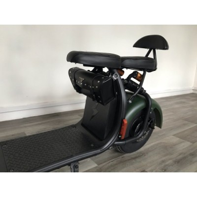 Elektrokoloběžka Lera Scooters C1 1000W zelená
