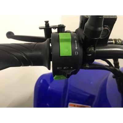 Warrior RS Exclusive 1200W 60V modrá
