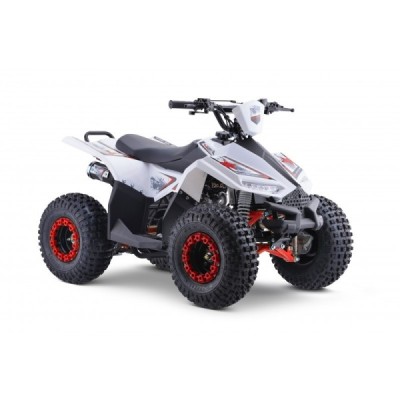 Dětská čtyřkolka Leramotors Monkey 125 Ccm Automat Červená
