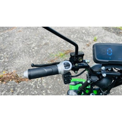 Elektrická tříkolka Leramotors SCOOTERS C5 2000W Zelená