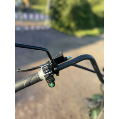 Elektrokoloběžka Lera Scooters C1+ 1500W zelená