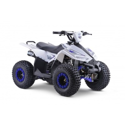 Dětská čtyřkolka Leramotors Monkey 125 Ccm Automat Modrá