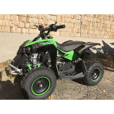 Dětská čtyřkolka Leramotors Thor Mini 49ccm E-Start zelená