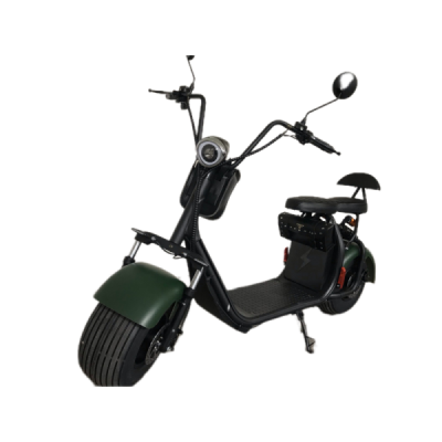 Elektrokoloběžka Lera Scooters C1 1000W zelená