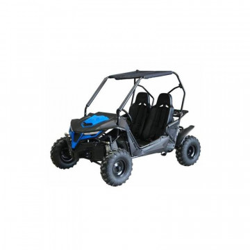 Dětská ATV Buggy 208ccm -...