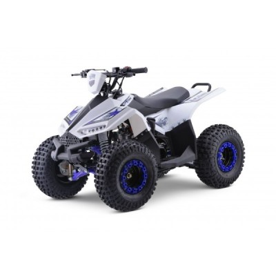 Dětská čtyřkolka Leramotors Monkey 125 Ccm Automat Modrá