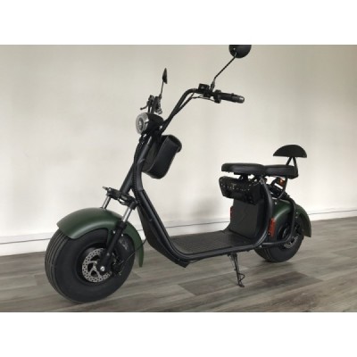 Elektrokoloběžka Lera Scooters C1 1000W zelená