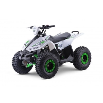 Dětská čtyřkolka Leramotors Monkey 125 Ccm Automat Zelená