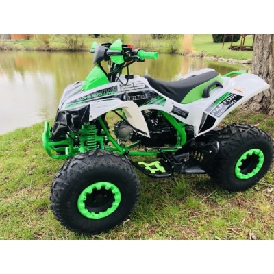 Dětská čtyřkolka Leramotors Raptor 125ccm Pro 3+1 Bílá
